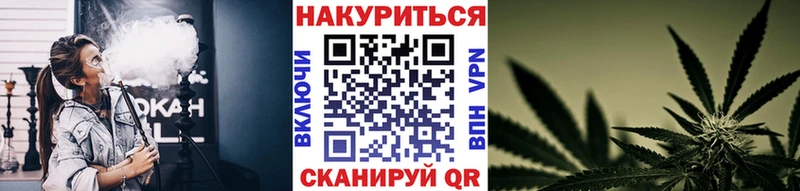Бошки Шишки тримм  ОМГ ОМГ ССЫЛКА  Мезень 